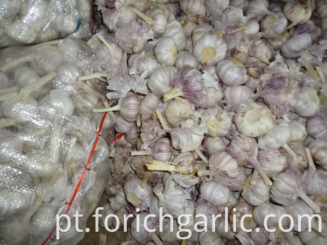 Normal White Garlic In Mesh Bag